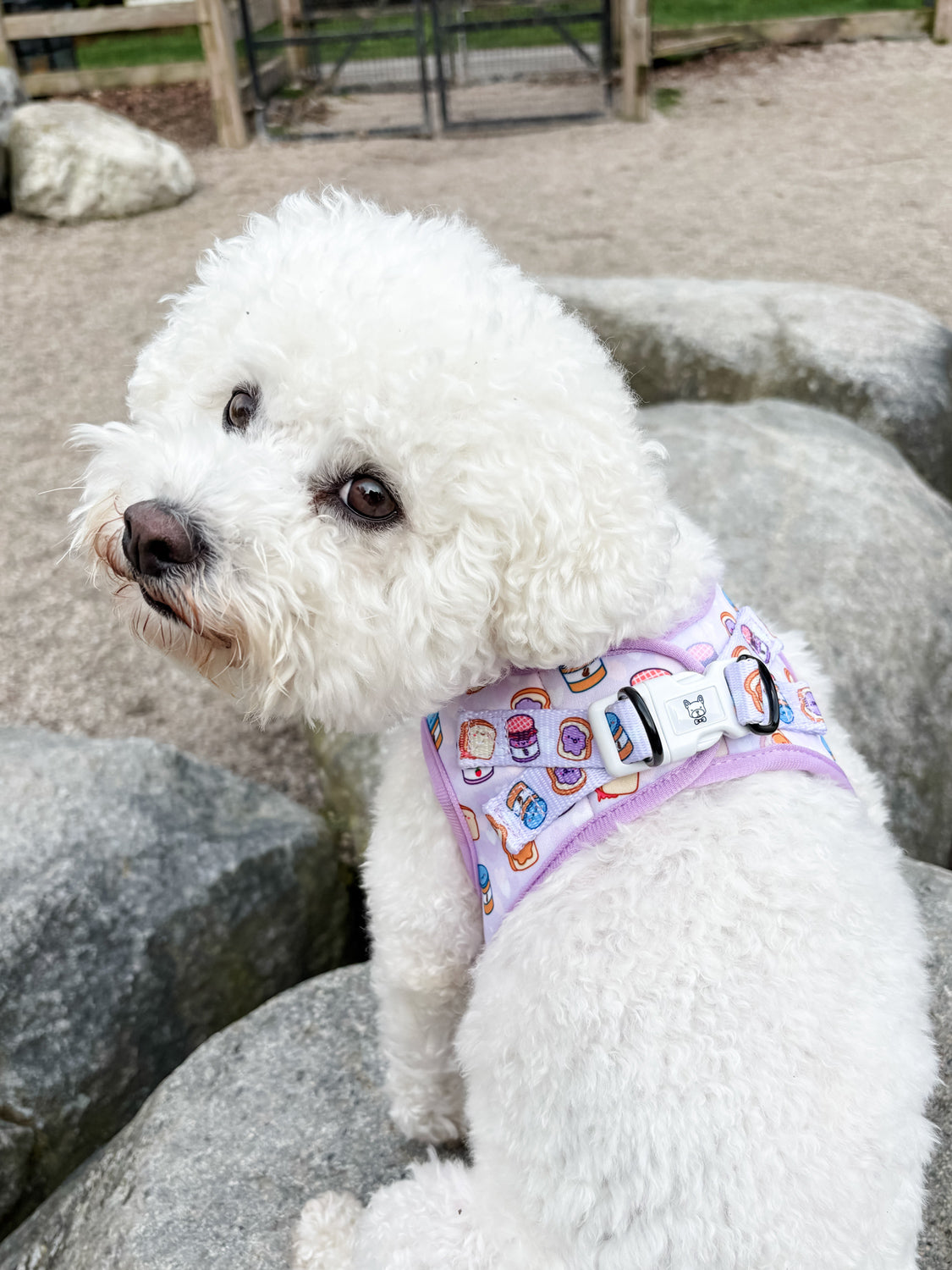 Step-In Dog Harness - Peanut Butter Jelly