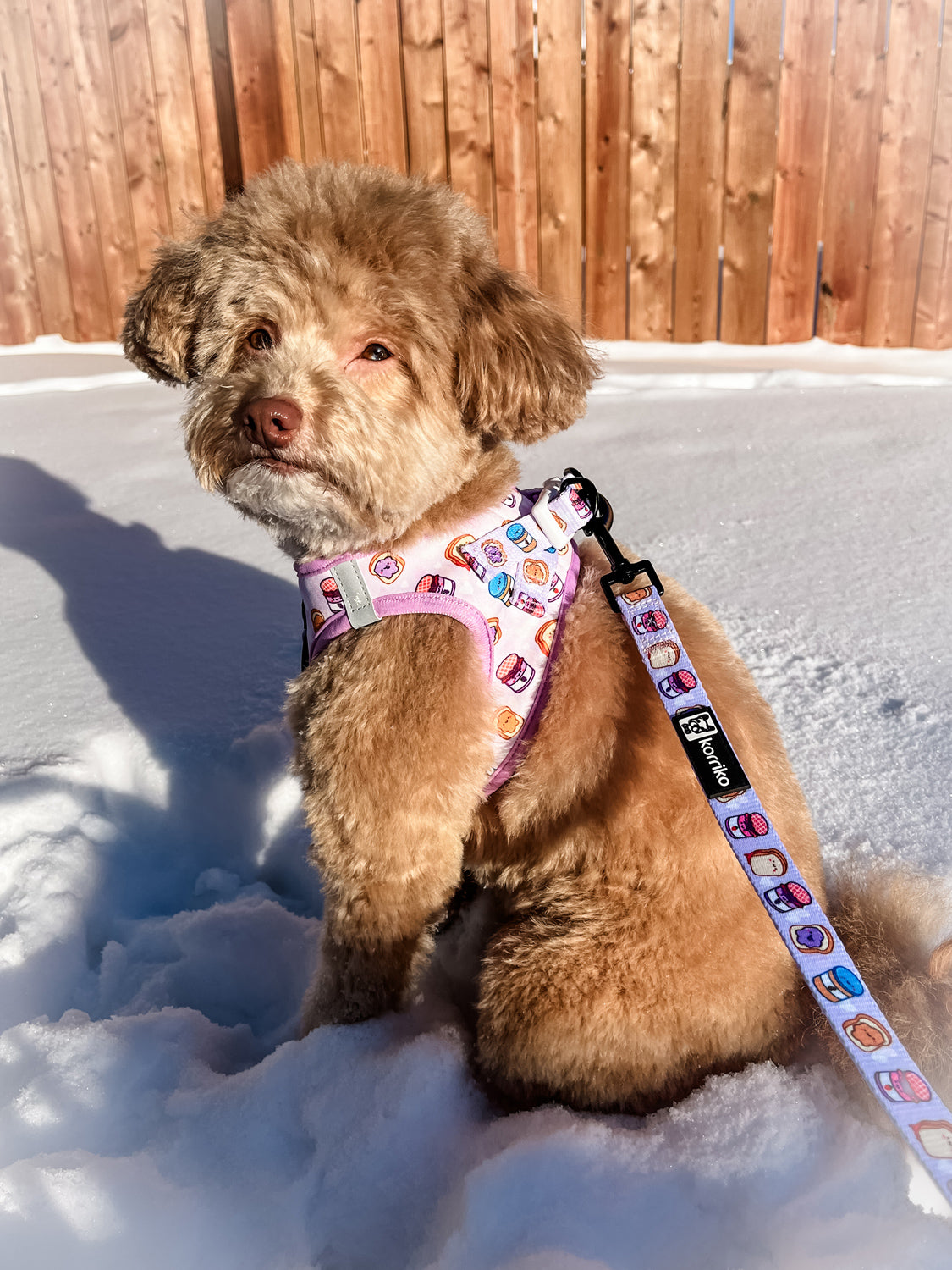 Step-In Dog Harness - Peanut Butter Jelly