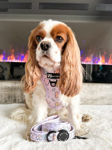 Adjustable Dog Harness - Gummy Bear (SECONDS - FINAL SALE)