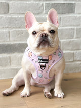 Adjustable Dog Harness - Gummy Bear (SECONDS - FINAL SALE)