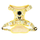 Exploration Lite No-Pull Dog Harness - Lemonade