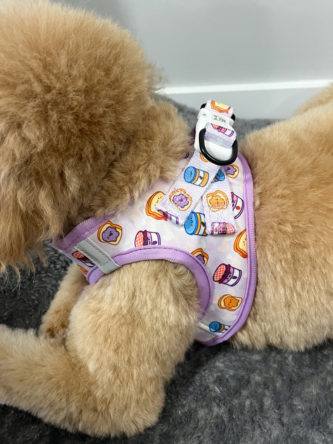 Step-In Dog Harness - Peanut Butter Jelly