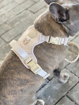 Exploration Lite No-Pull Dog Harness - Almond Nude (Final Sale)
