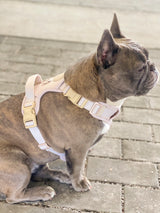 Exploration Lite No-Pull Dog Harness - Almond Nude (Final Sale)