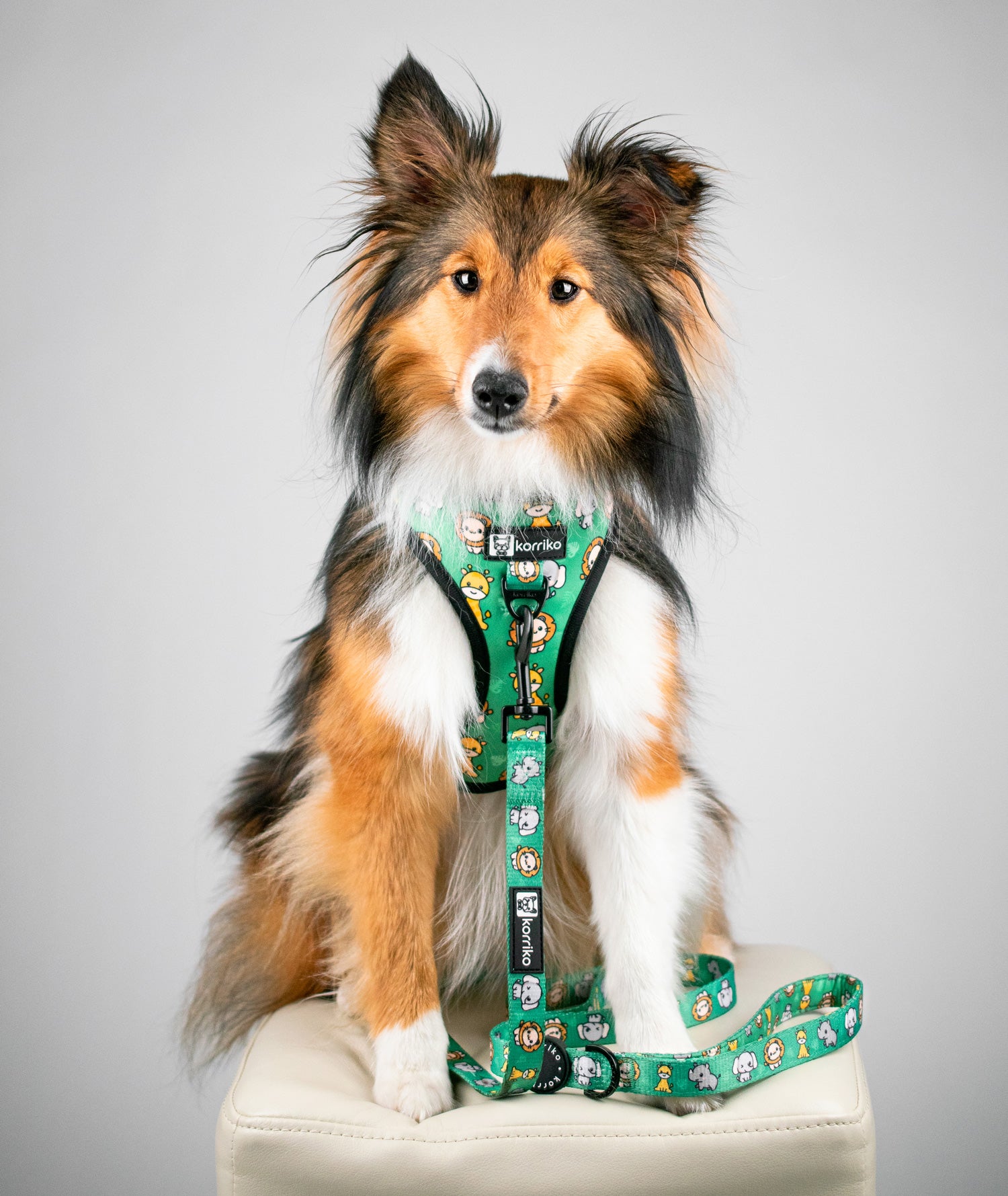 Adjustable Dog Harness - Safari (Final Sale)