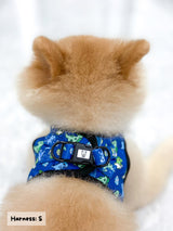 Ultimate Step-In Harness Bundle Set - Dino (6-Piece)