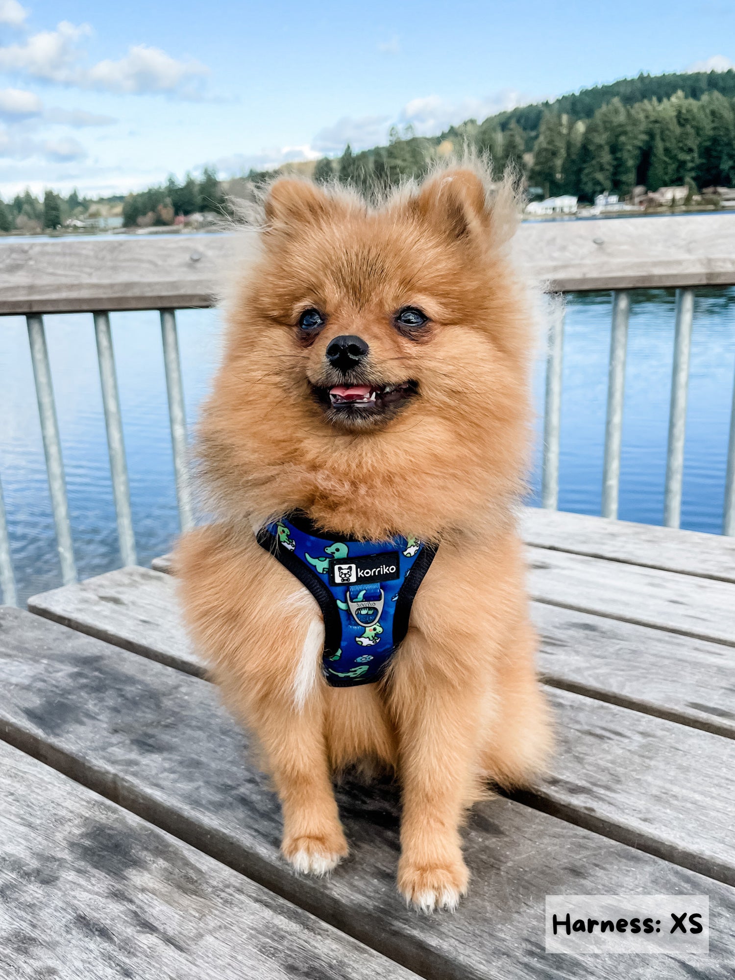 Ultimate Step-In Harness Bundle Set - Dino (6-Piece)