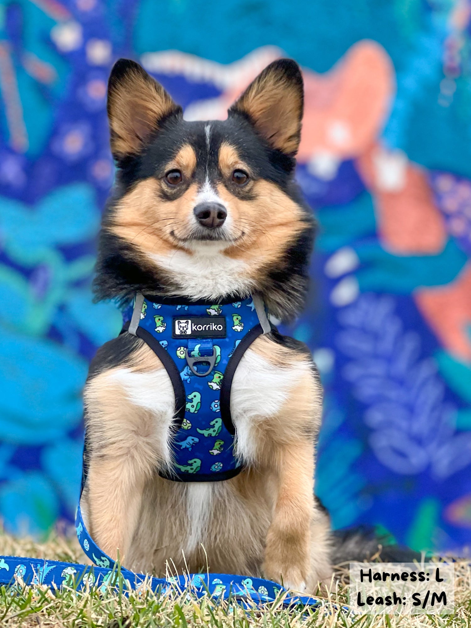 Ultimate Step-In Harness Bundle Set - Dino (6-Piece)