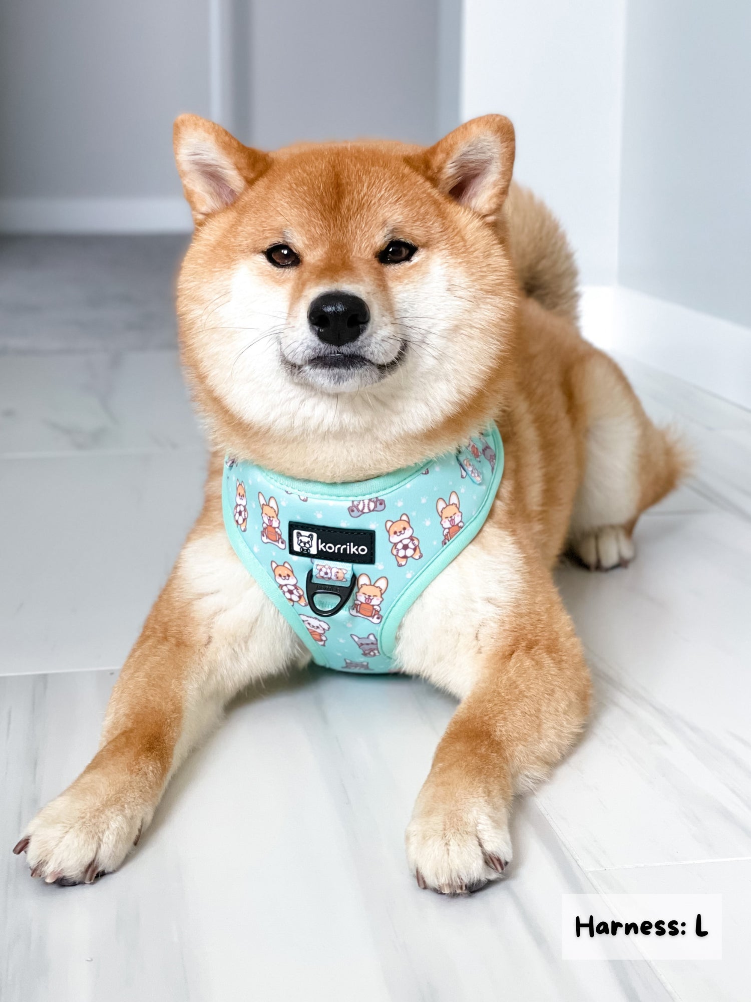 Adjustable Dog Harness - Dream Team (Final Sale)