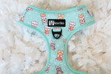 Adjustable Dog Harness - Dream Team (Final Sale)