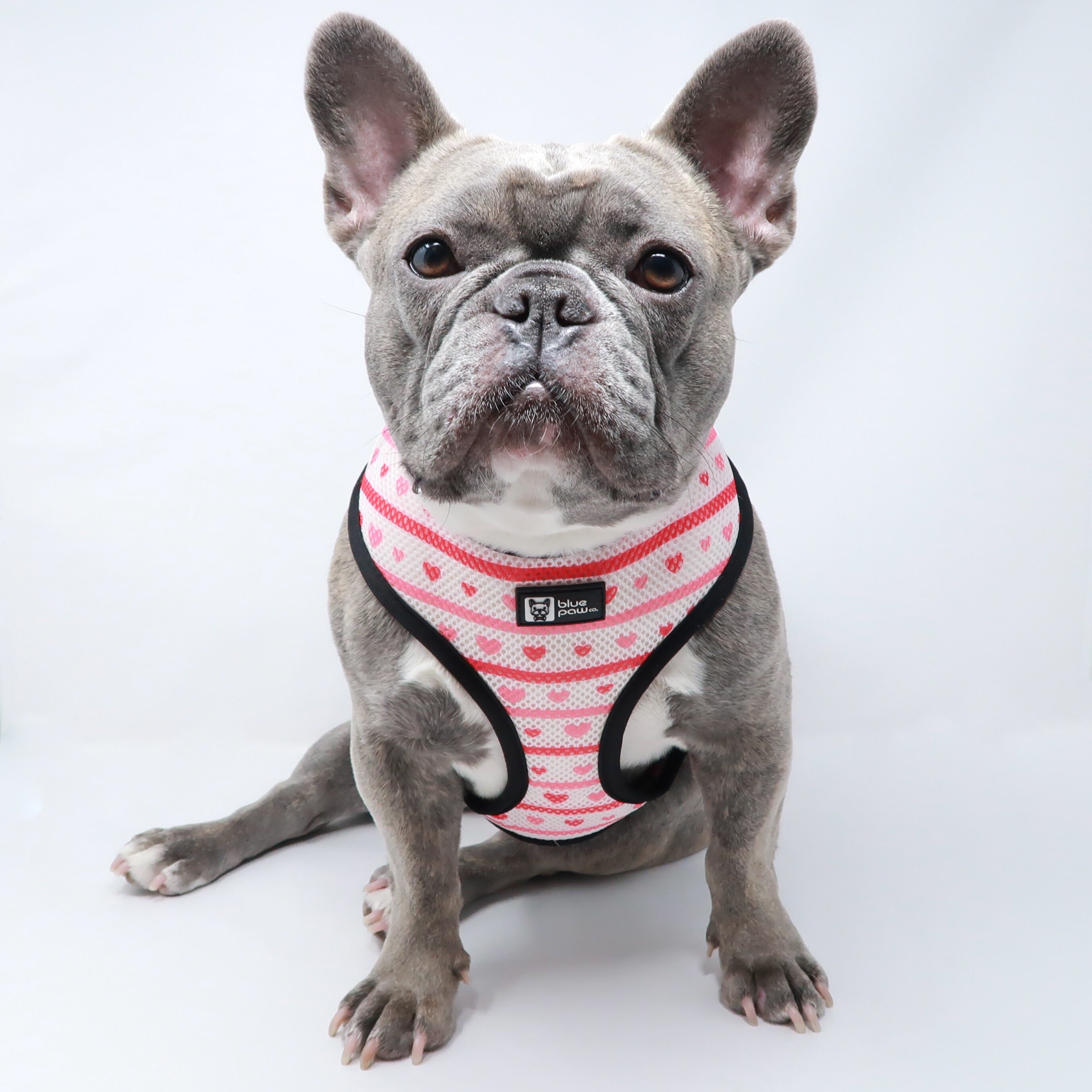 Reversible Dog Harness - Hearts & Horns (Blue Paw Co. - FINAL SALE)