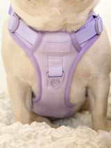 Exploration Lite No-Pull Dog Harness - Lilac (Final Sale)