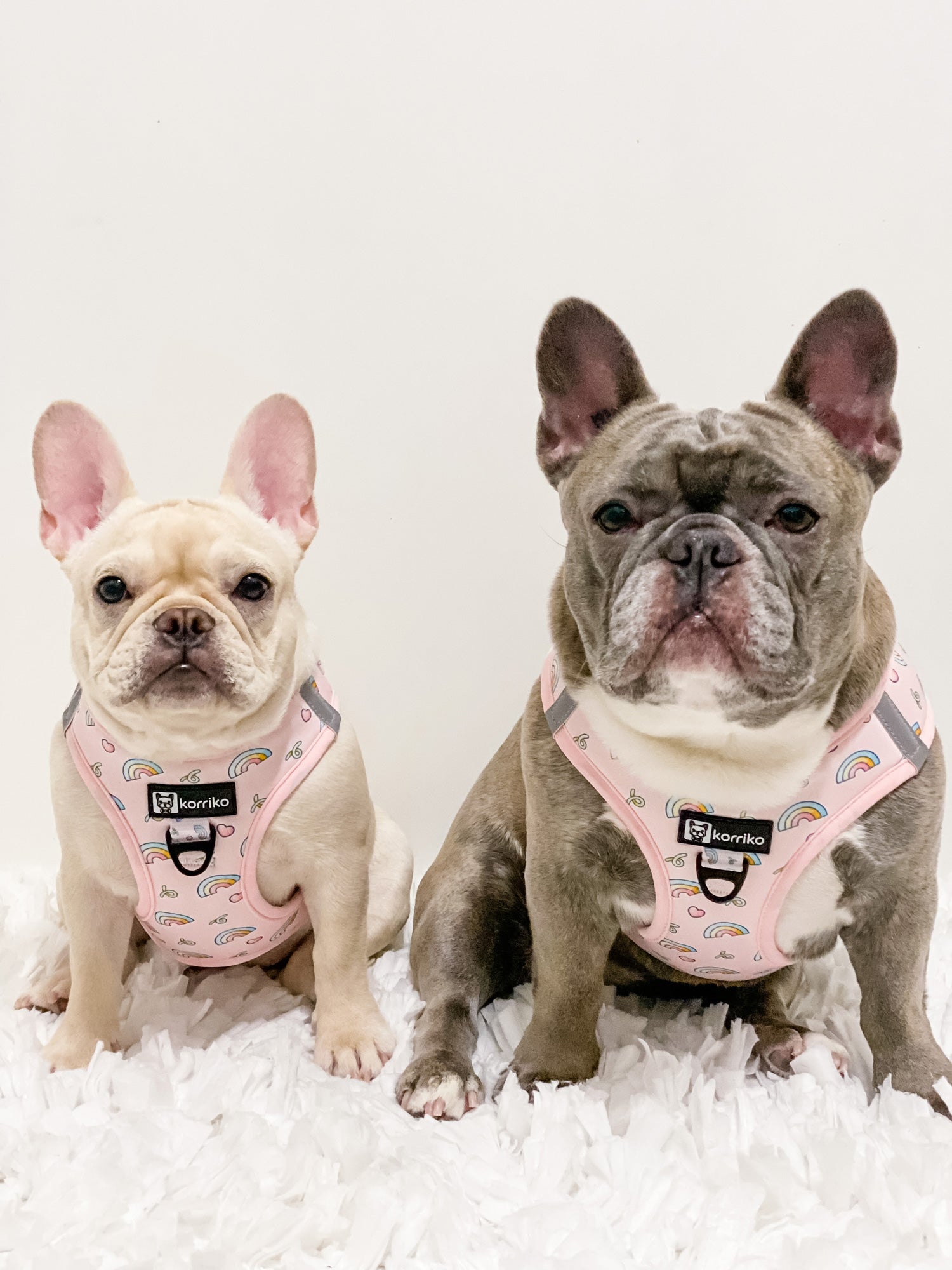 Ultimate Step-In Harness Bundle Set - Over The Rainbow (6-Piece)