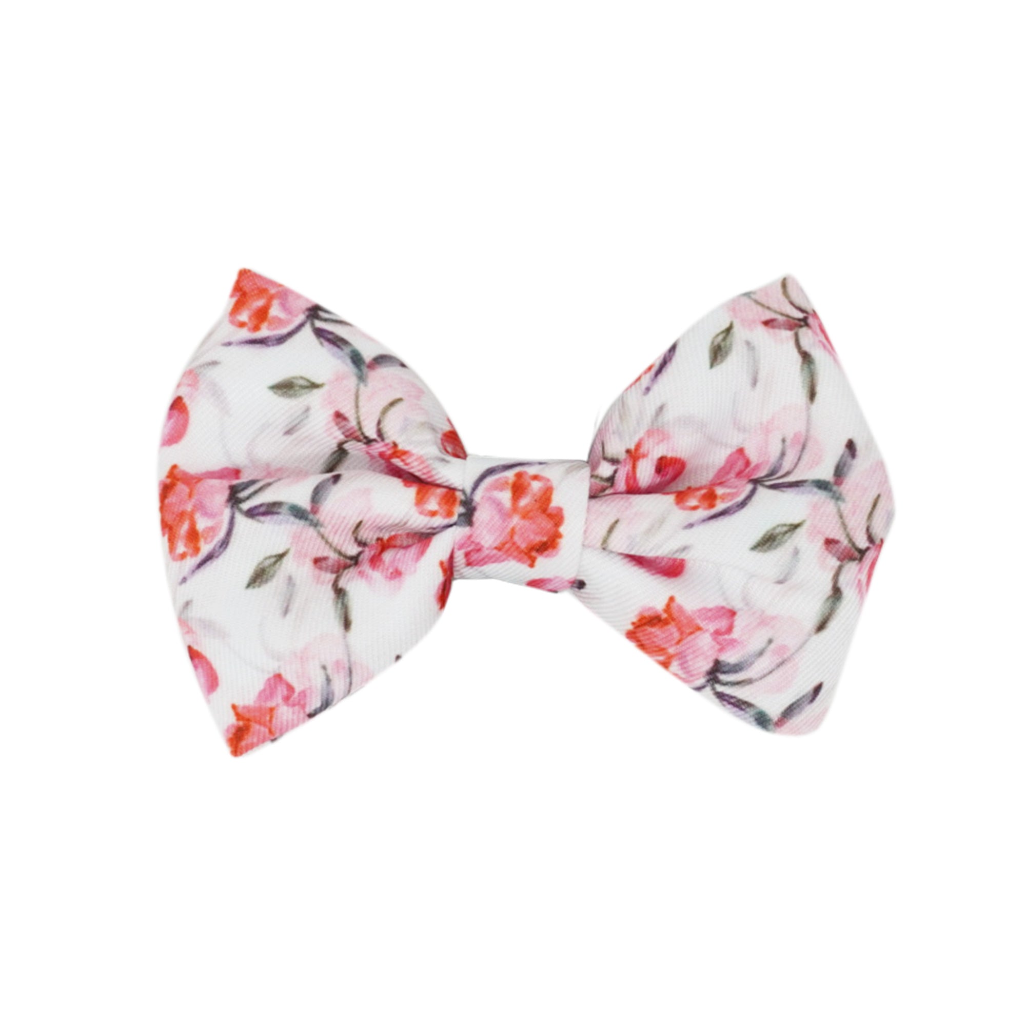 Dog Bow Tie - Rosa (Blue Paw Co. - FINAL SALE)