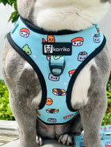Adjustable Dog Harness - Sushi (SECONDS - FINAL SALE)