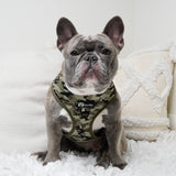 Classic No-Pull Dog Harness - Green Camo (Final Sale)
