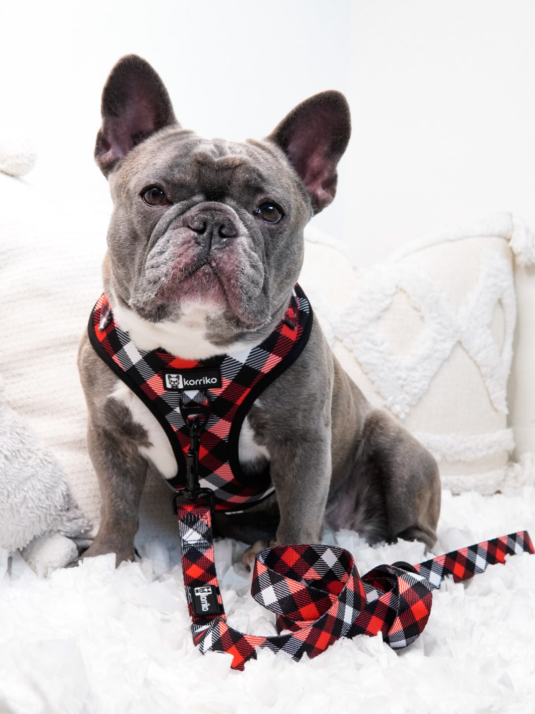 Adjustable Dog Harness - Red Plaid (SECONDS - FINAL SALE)