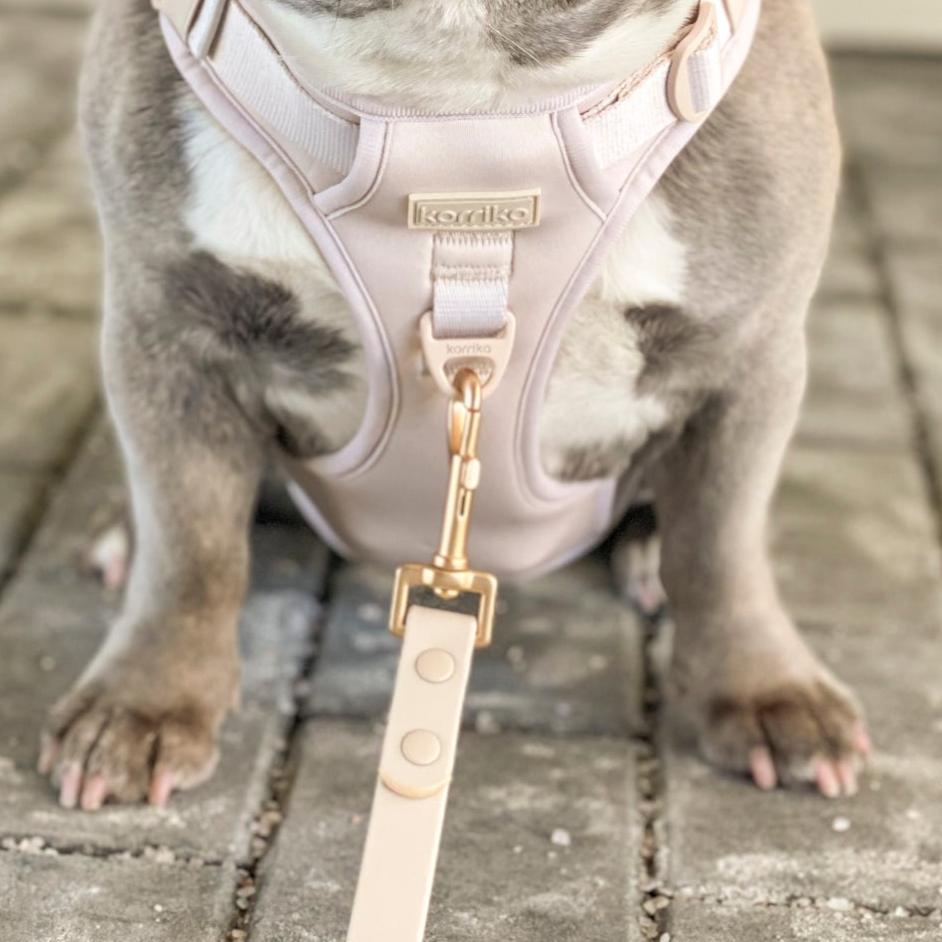 Starter Walk Kit - Exploration No-Pull Harness- Almond Nude (3-Piece)