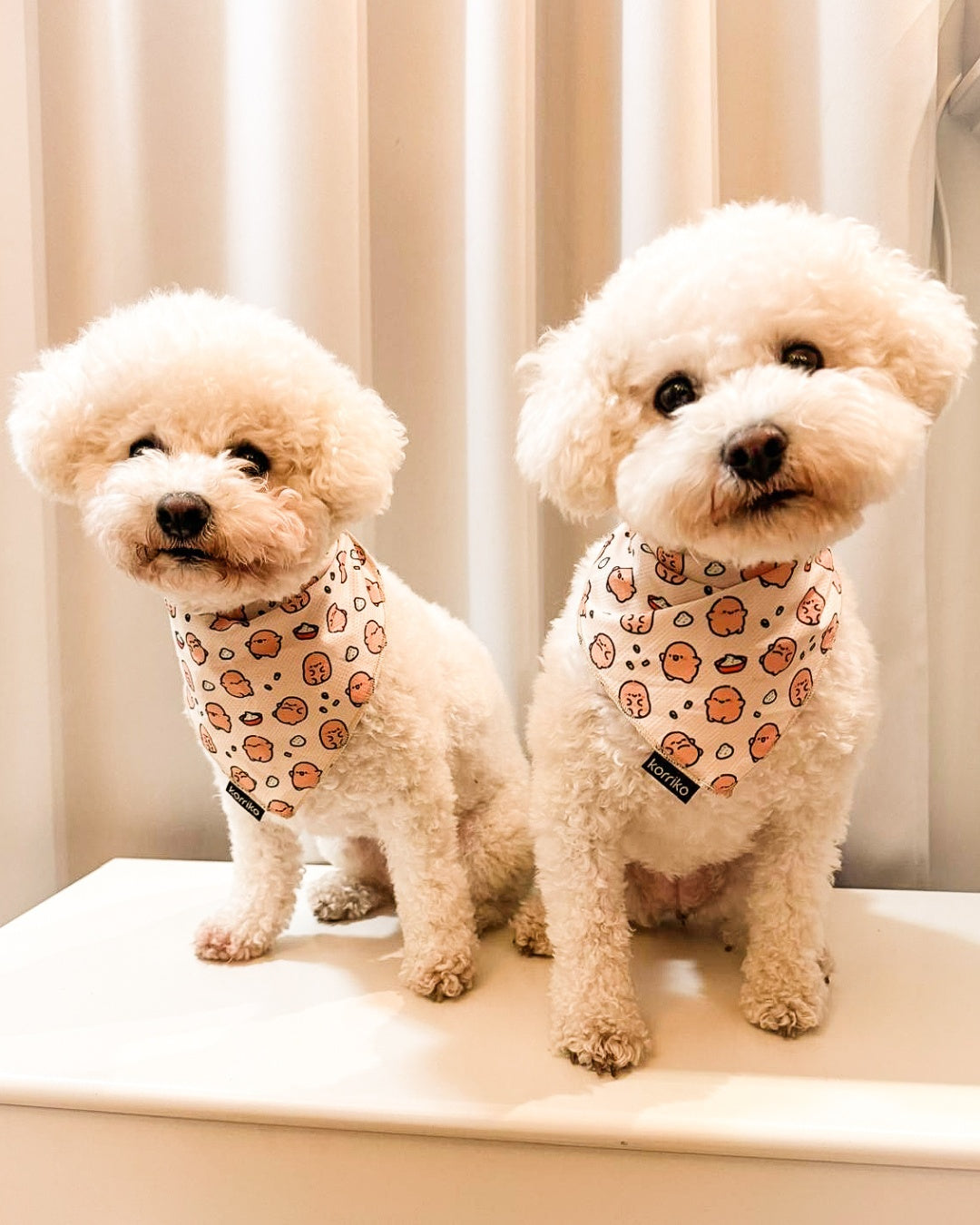 Cooling Dog Bandana - Potato