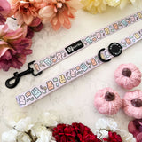 Ultimate Collar Bundle Set - Gummy Bear (5-Piece)