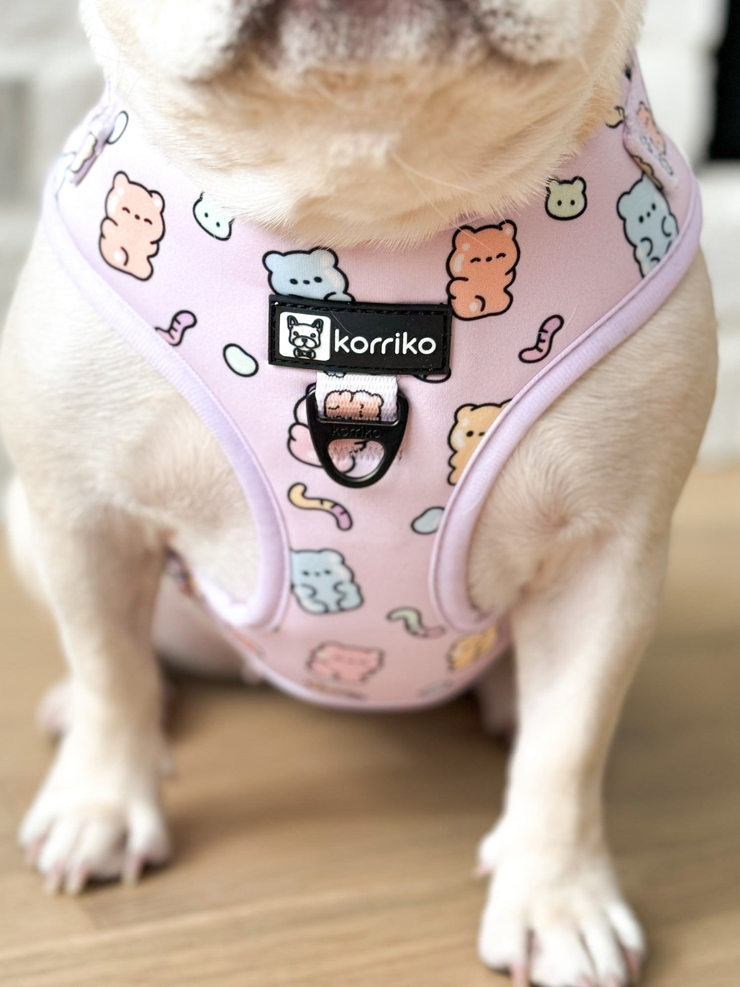 Adjustable Dog Harness - Gummy Bear (SECONDS - FINAL SALE)