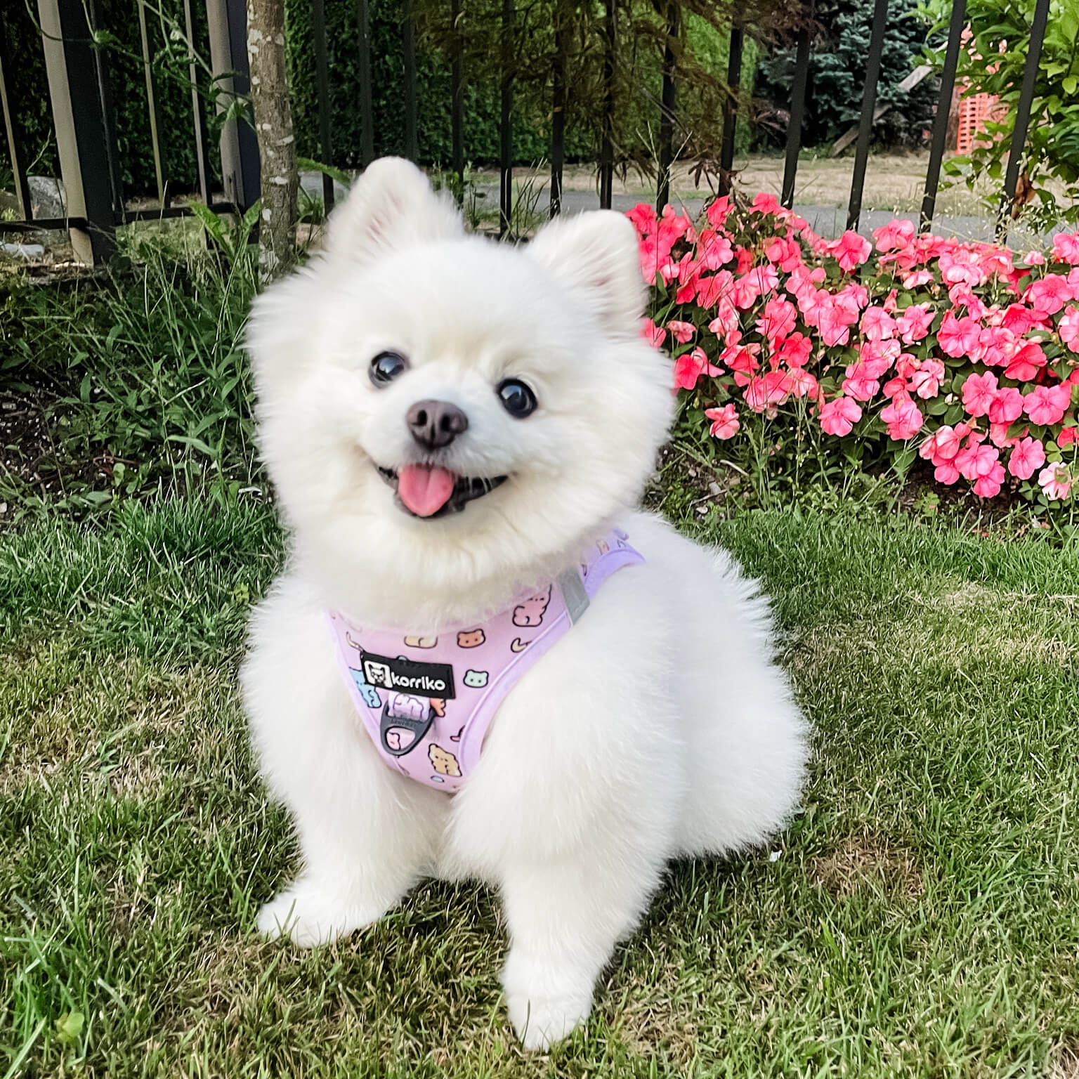 Ultimate Step-In Harness Bundle Set - Gummy Bear (6-Piece)