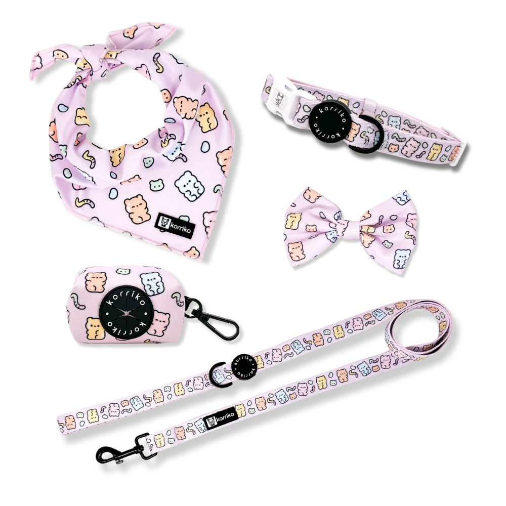 Ultimate Collar Bundle Set - Gummy Bear (5-Piece)