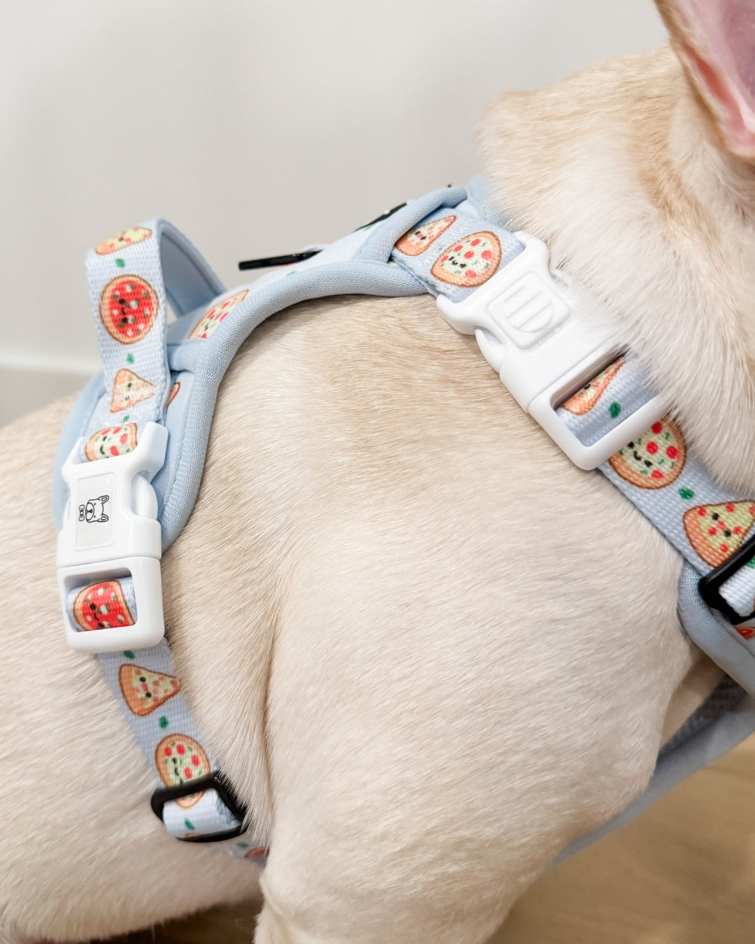 Exploration Lite No-Pull Dog Harness - Pizza