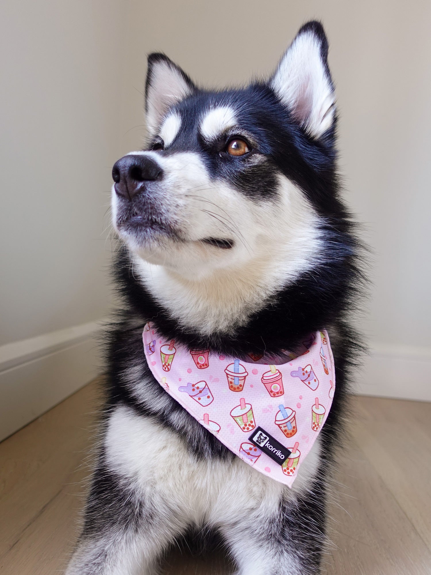 Cooling Dog Bandana - Taro Milk Tea