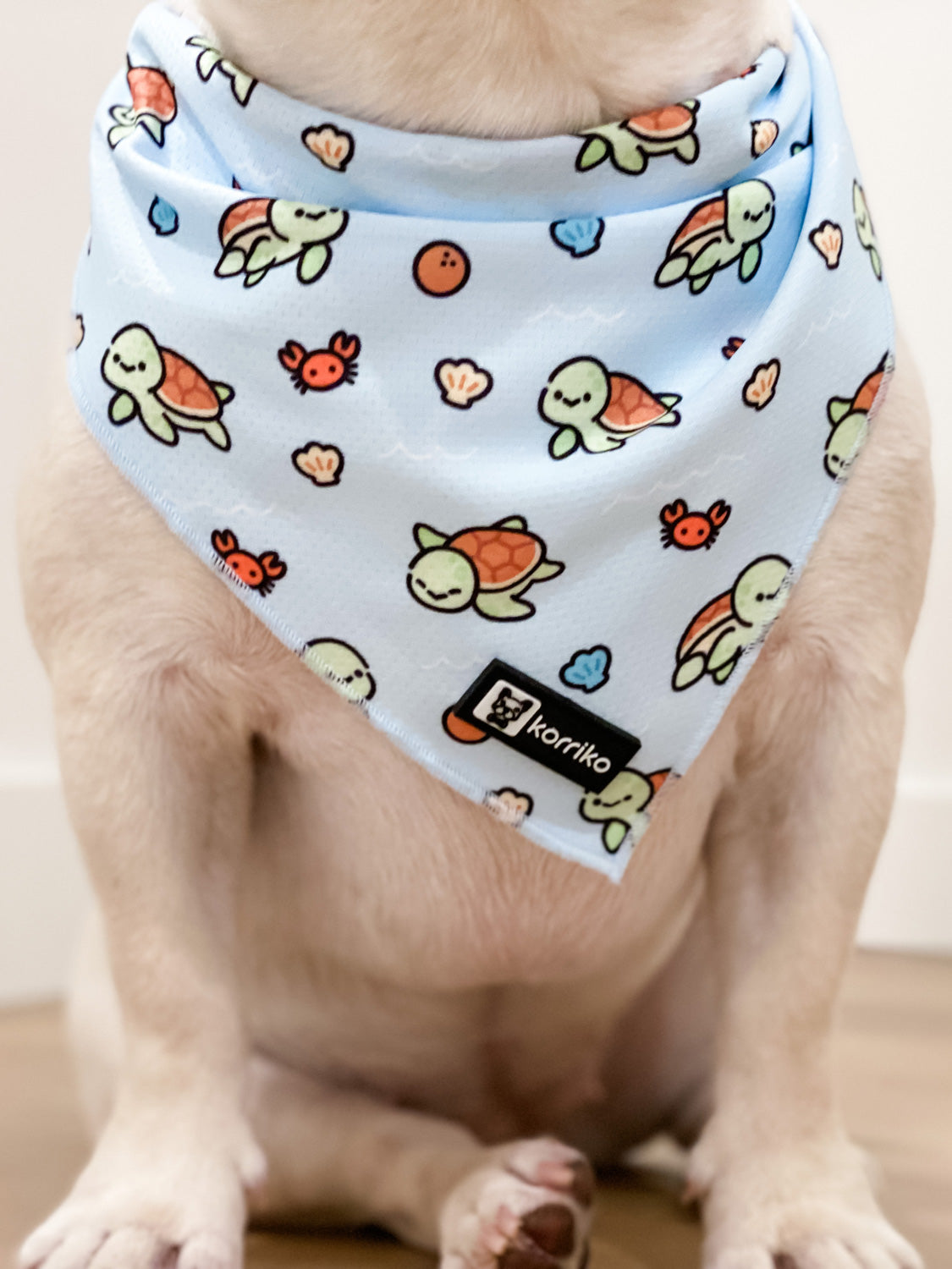 Cooling Dog Bandana - Under The Sea