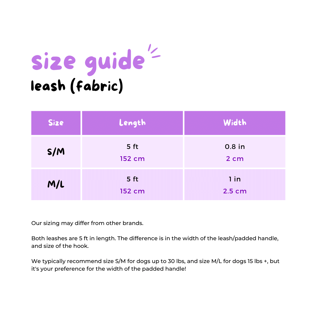 Dog Leash - Dream Team (Final Sale)