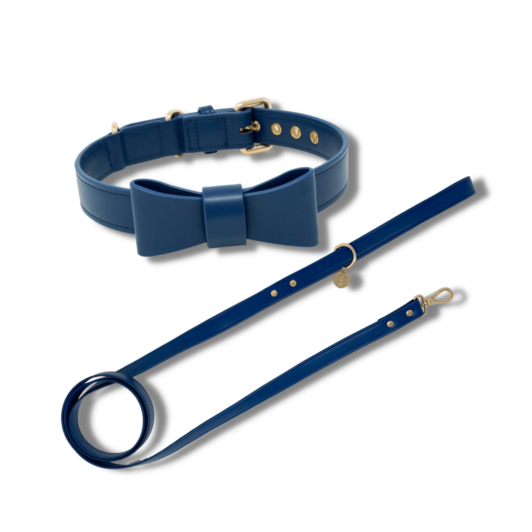 Signature Collar & Leash Set - Navy (Final Sale)