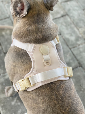 Exploration Lite No-Pull Dog Harness - Almond Nude