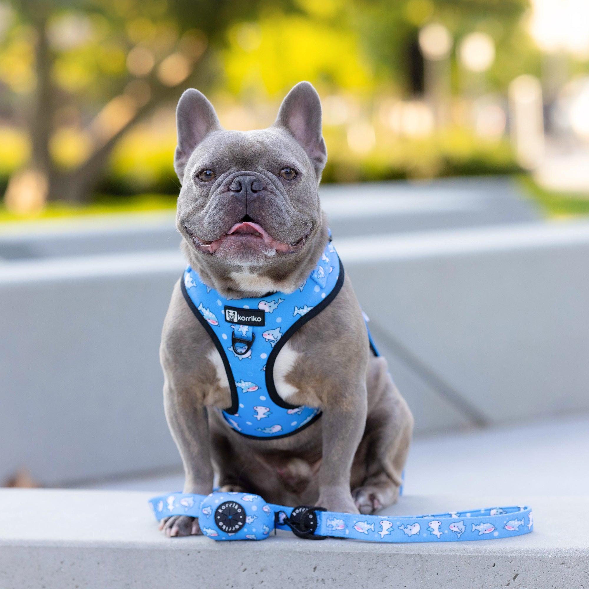 Adjustable Dog Harness - Shark