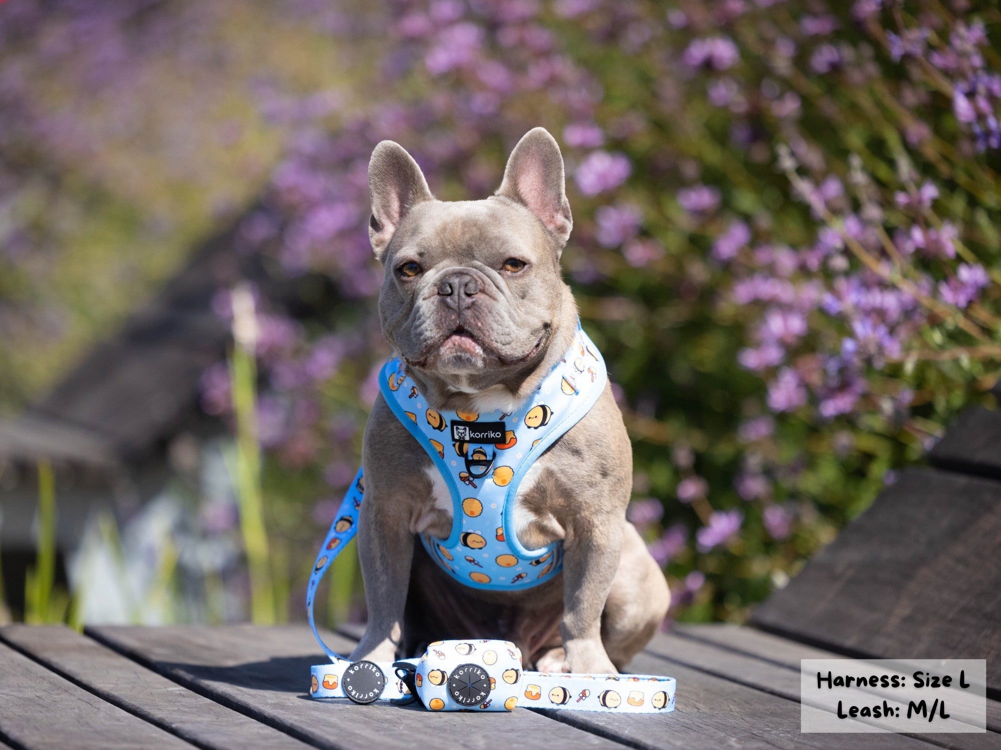 Adjustable Dog Harness - HoneyBee