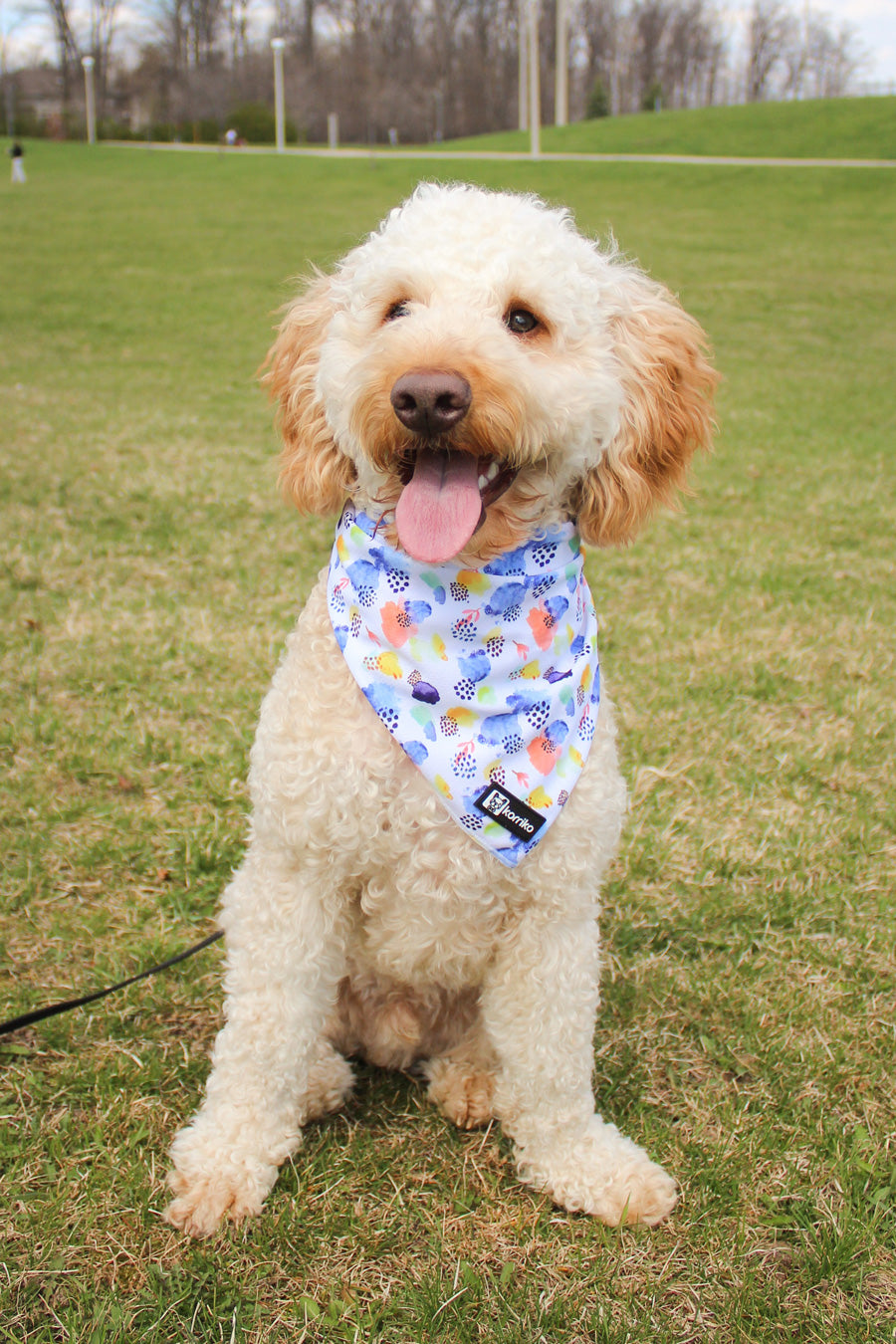 Cooling Dog Bandana - Spring Showers (Final Sale)