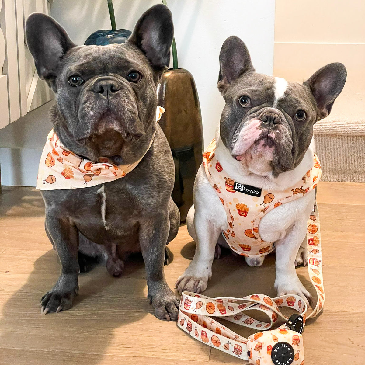 Frenchie harness sale sale