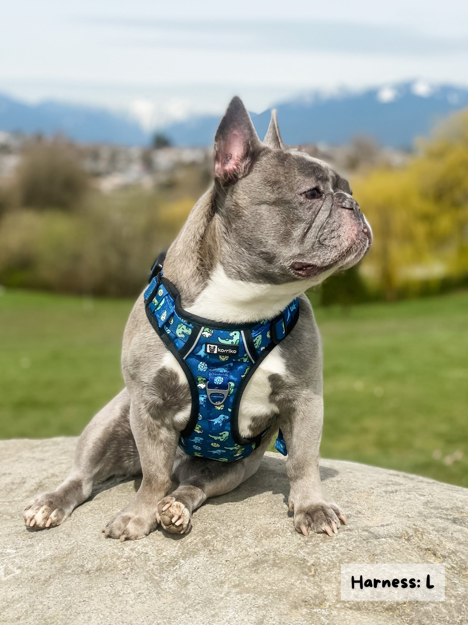 Exploration Lite No-Pull Dog Harness - Dino