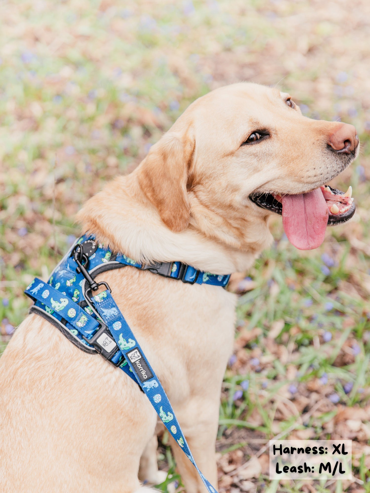 Exploration No-Pull Dog Harness - Dino