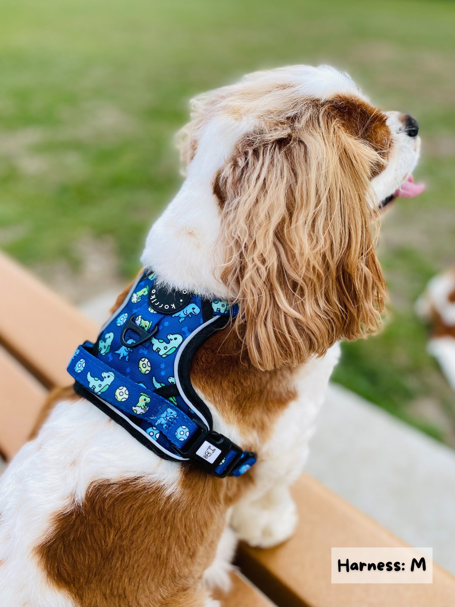 Exploration Lite No-Pull Dog Harness - Dino