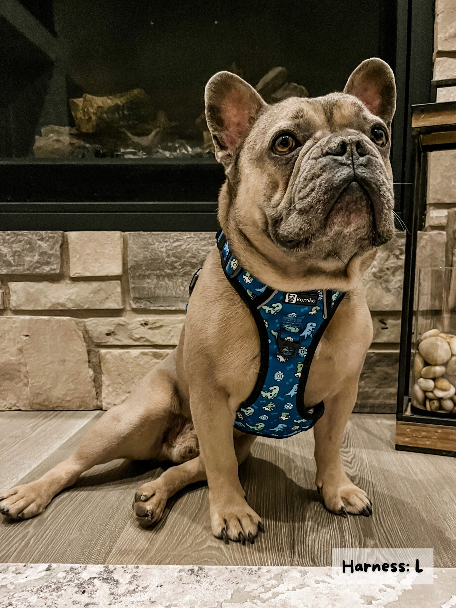 Exploration No-Pull Dog Harness - Dino