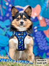 Ultimate Step-In Harness Bundle Set - Dino (6-Piece)