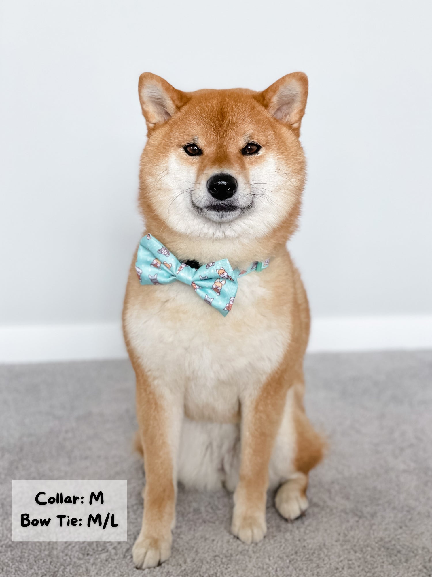 Dog Bow Tie - Dream Team (Final Sale)