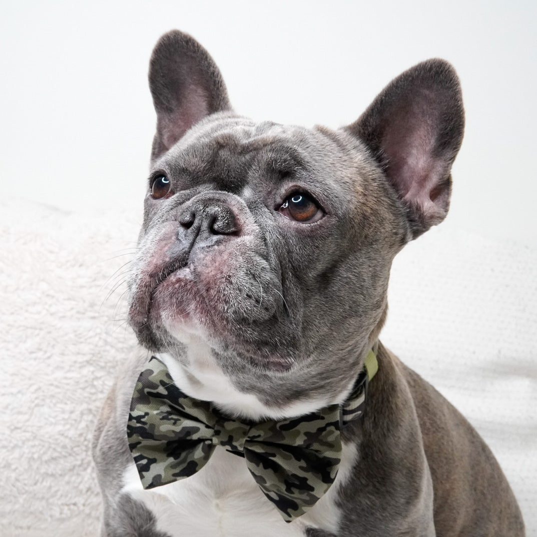 Dog Bow Tie - Green Camo (Final Sale)