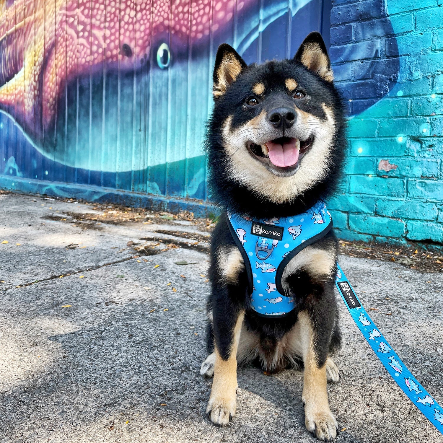 Adjustable Dog Harness - Shark