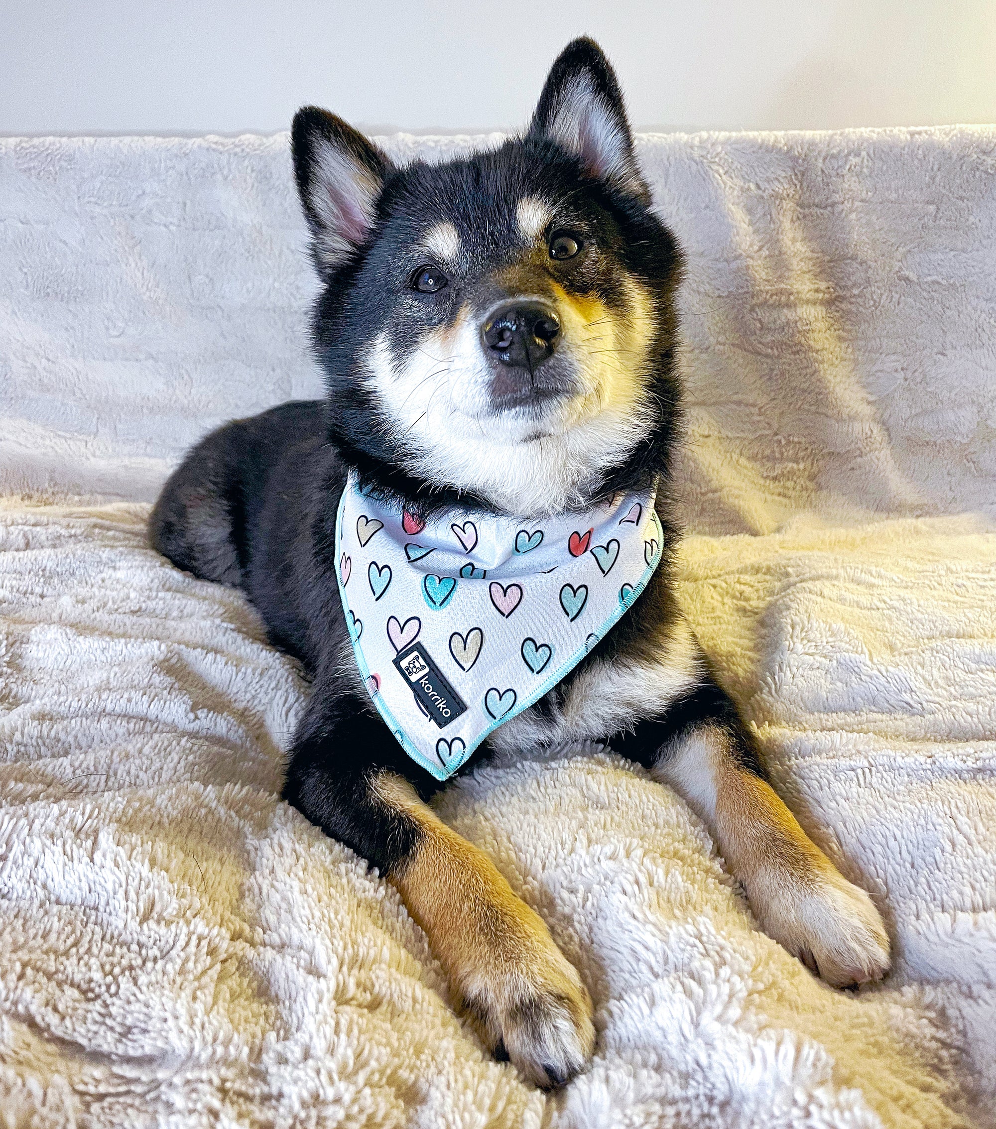 Cooling Dog Bandana - Feel The Love