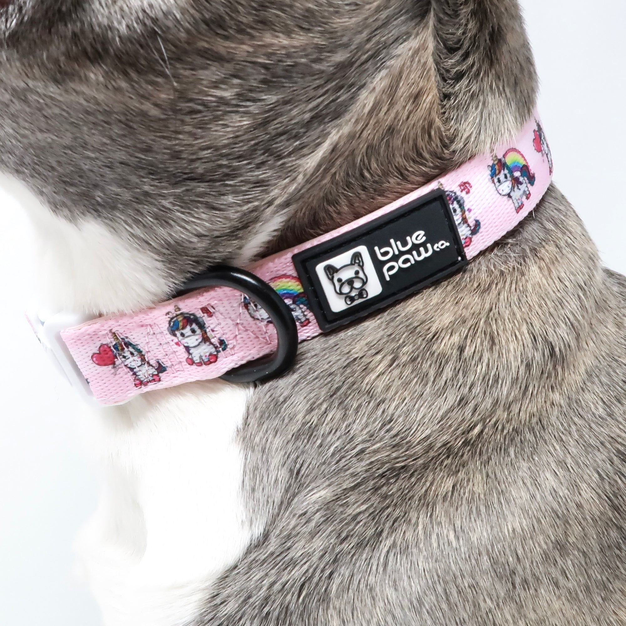 Dog Collar - Hearts & Horns (Blue Paw Co. - FINAL SALE)