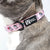 Dog Collar - Hearts & Horns (Blue Paw Co. - FINAL SALE)