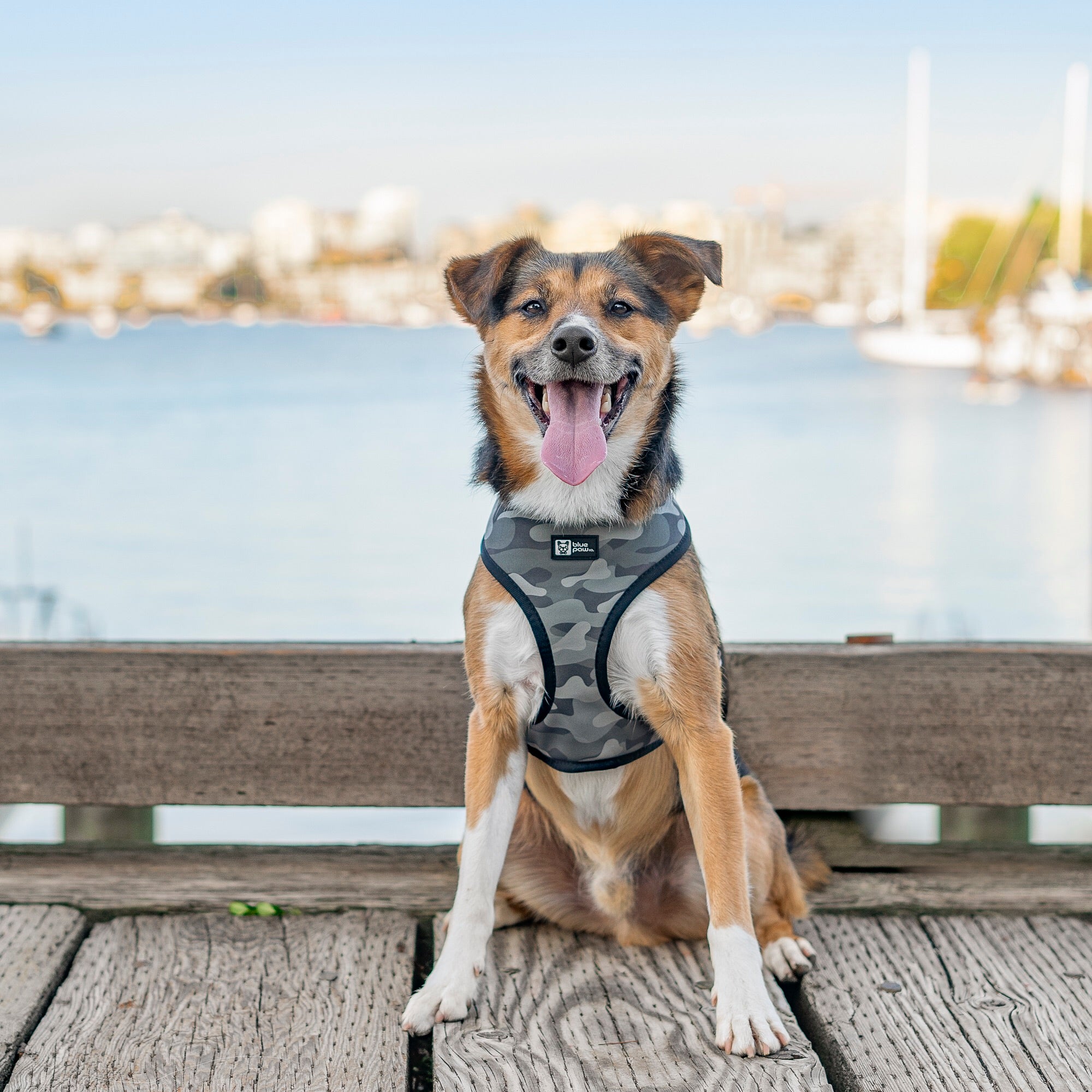 Reversible Dog Harness - Combat Camo - Blue Paw Co.