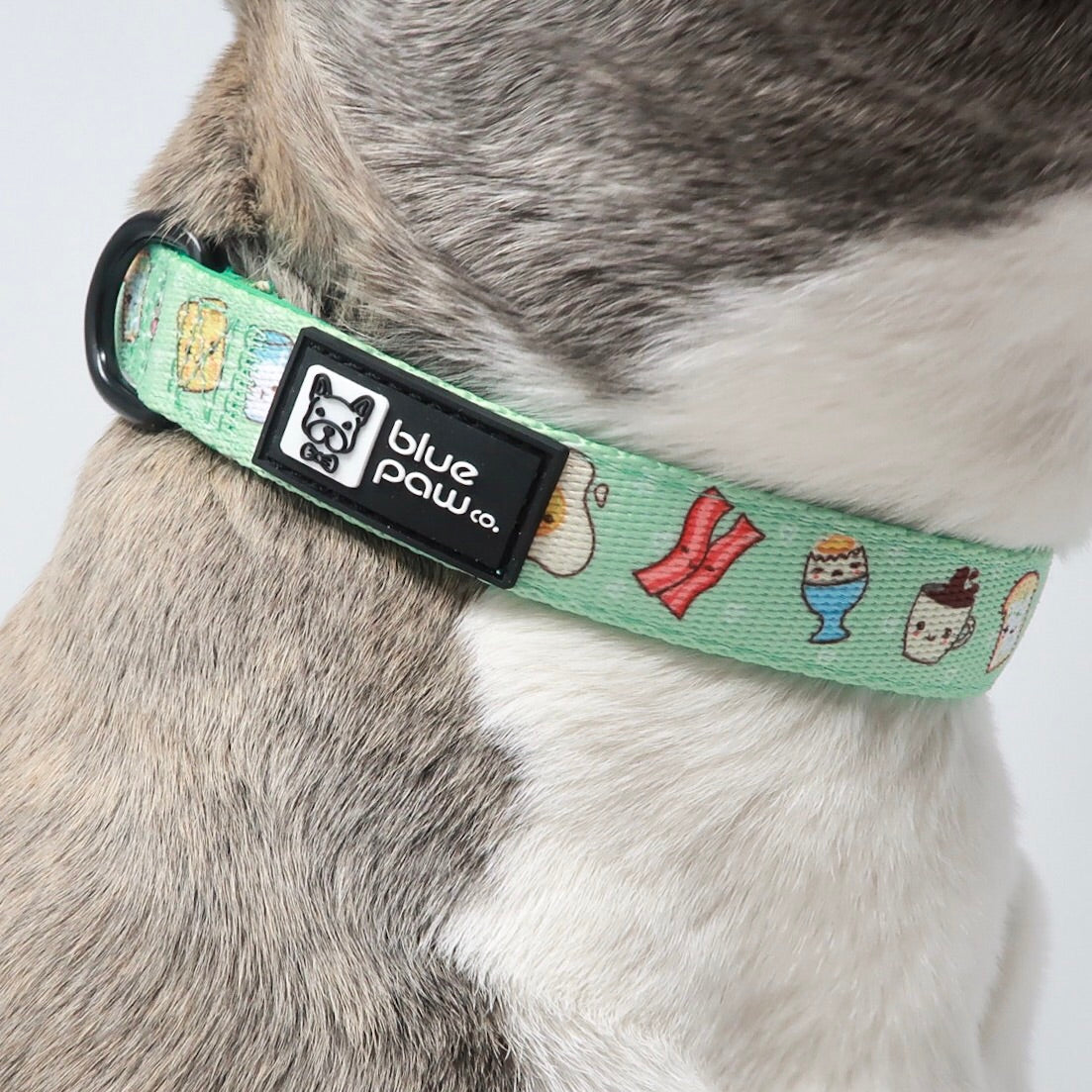 Dog Collar - Thanks A Brunch (Blue Paw Co. - FINAL SALE)
